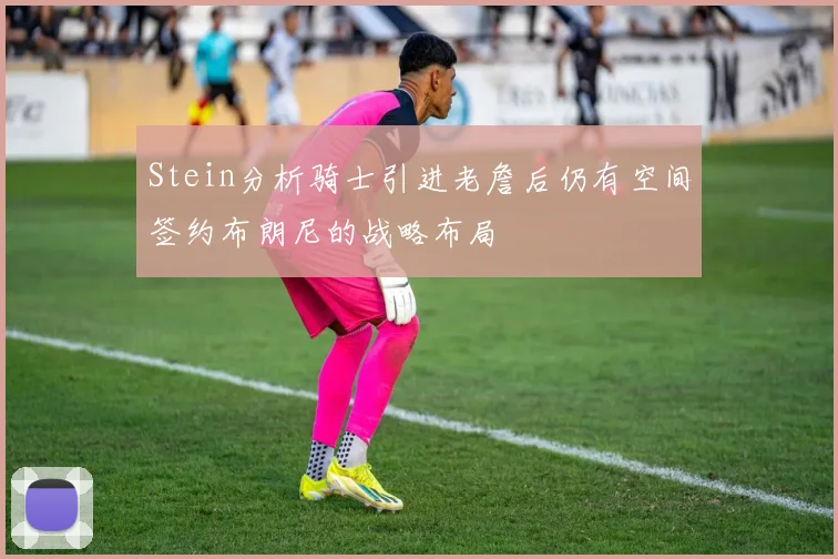 Stein分析骑士引进老詹后仍有空间签约布朗尼的战略布局